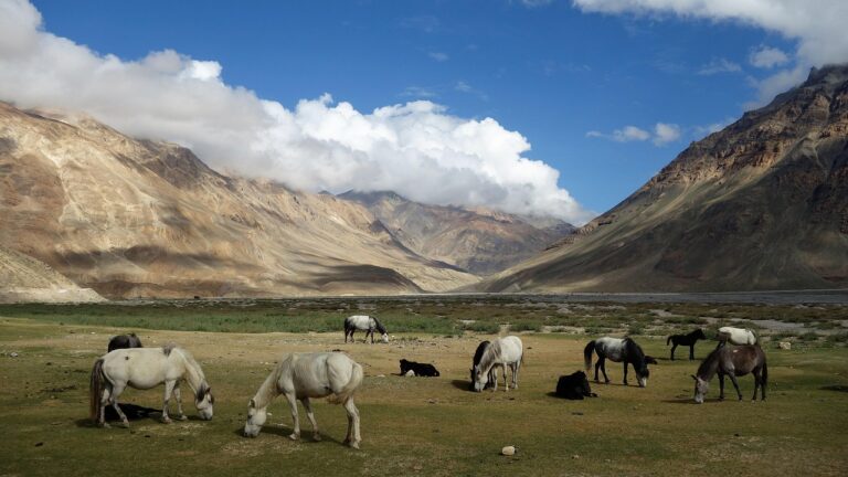himachal 3647248 1280