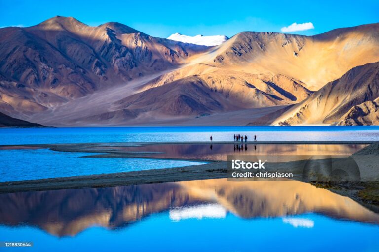 istockphoto 1218830644 2048x2048